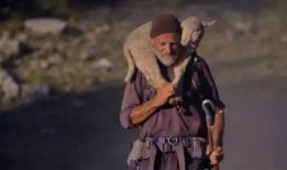 雌狼在线观看影片,野性呼唤下的生存传奇