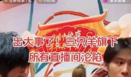 三只羊视频最新爆料,揭秘幕后真相与惊人内幕